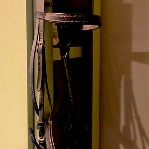 Cob size English Bridle Chevalier